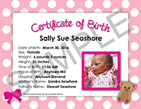 Sample Certificate